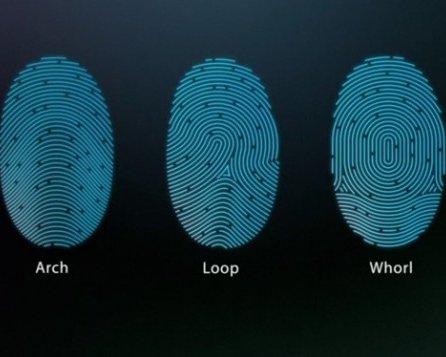 Apple подробно рассказала как работает Touch ID